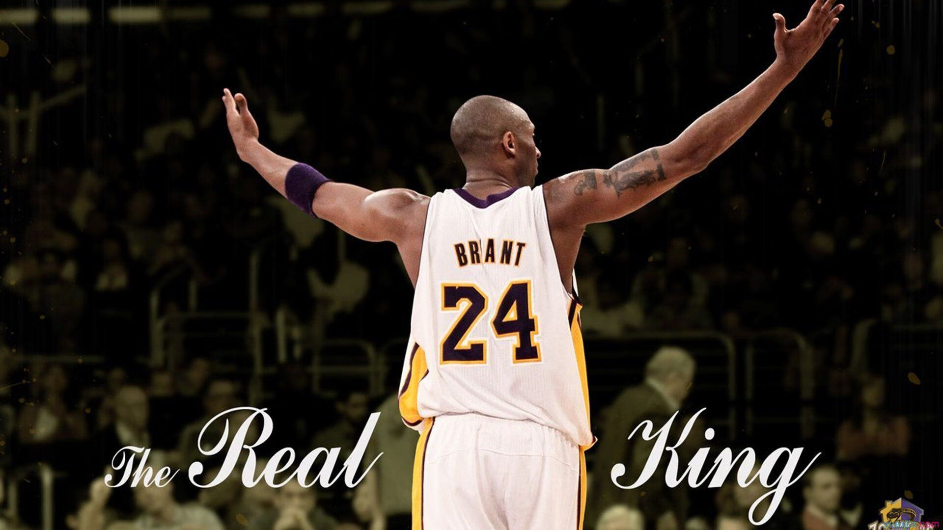 历史性决战:冠军宝座争夺白热化